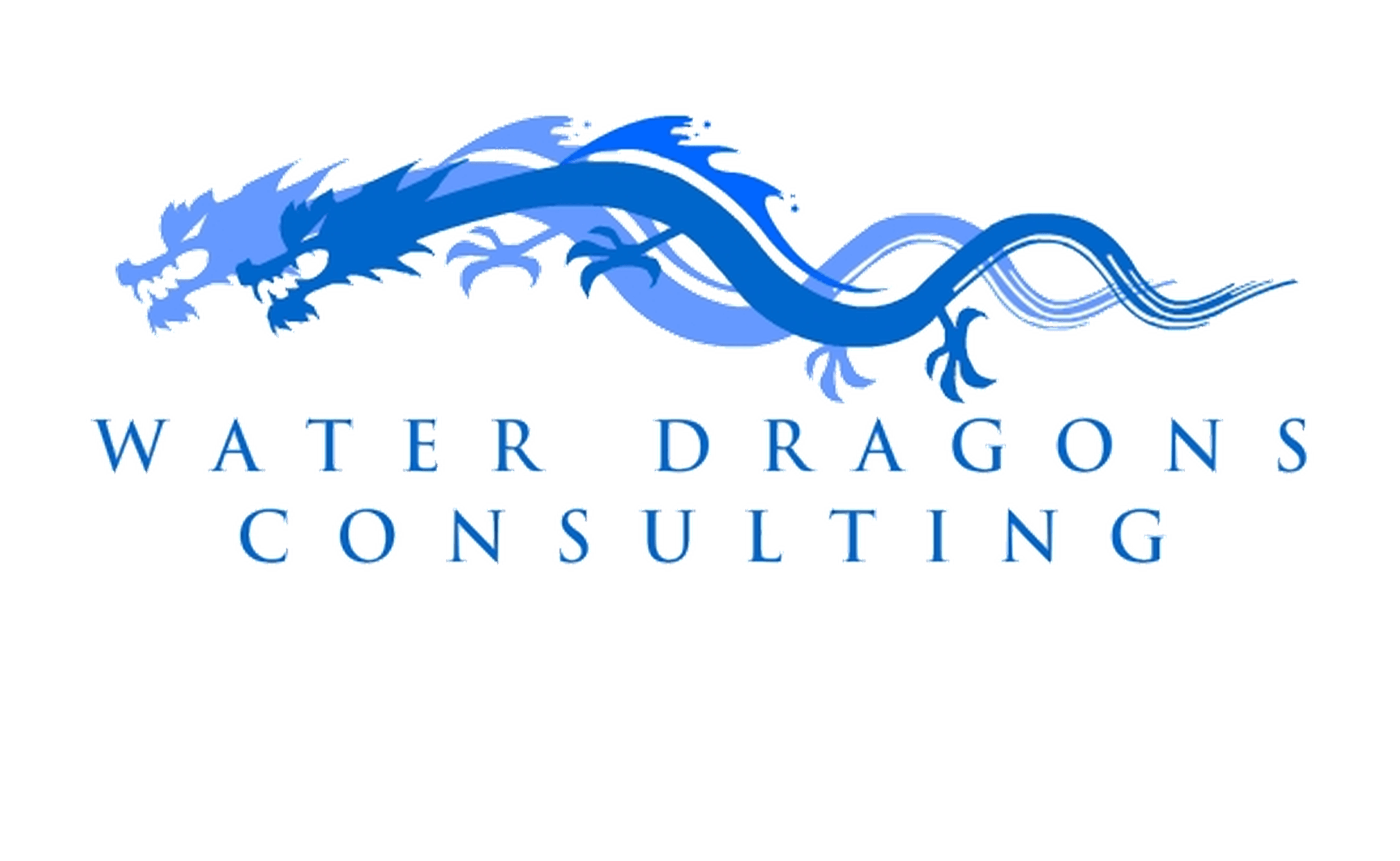Water Dragons Consulting